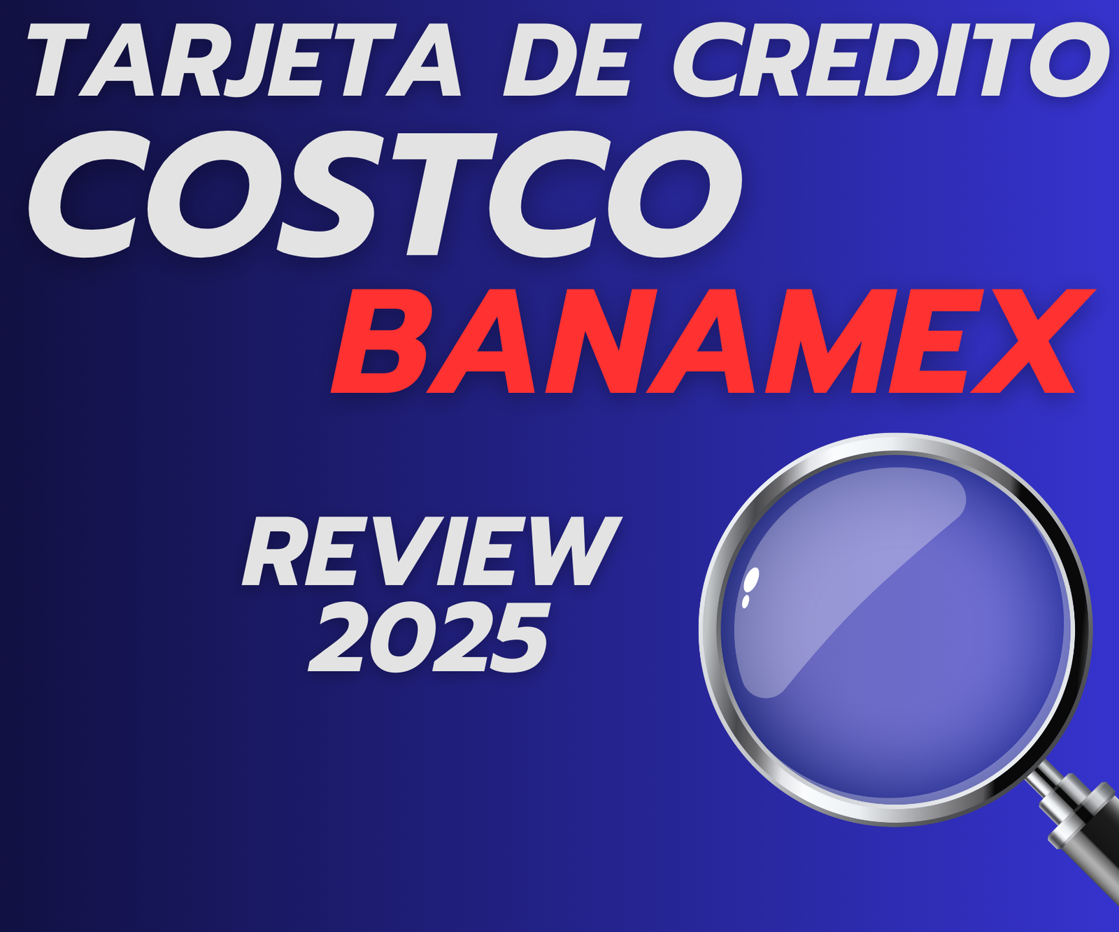 costco banamex